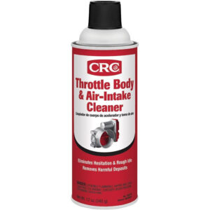 Throttle Body & Air-Intake Cleaner